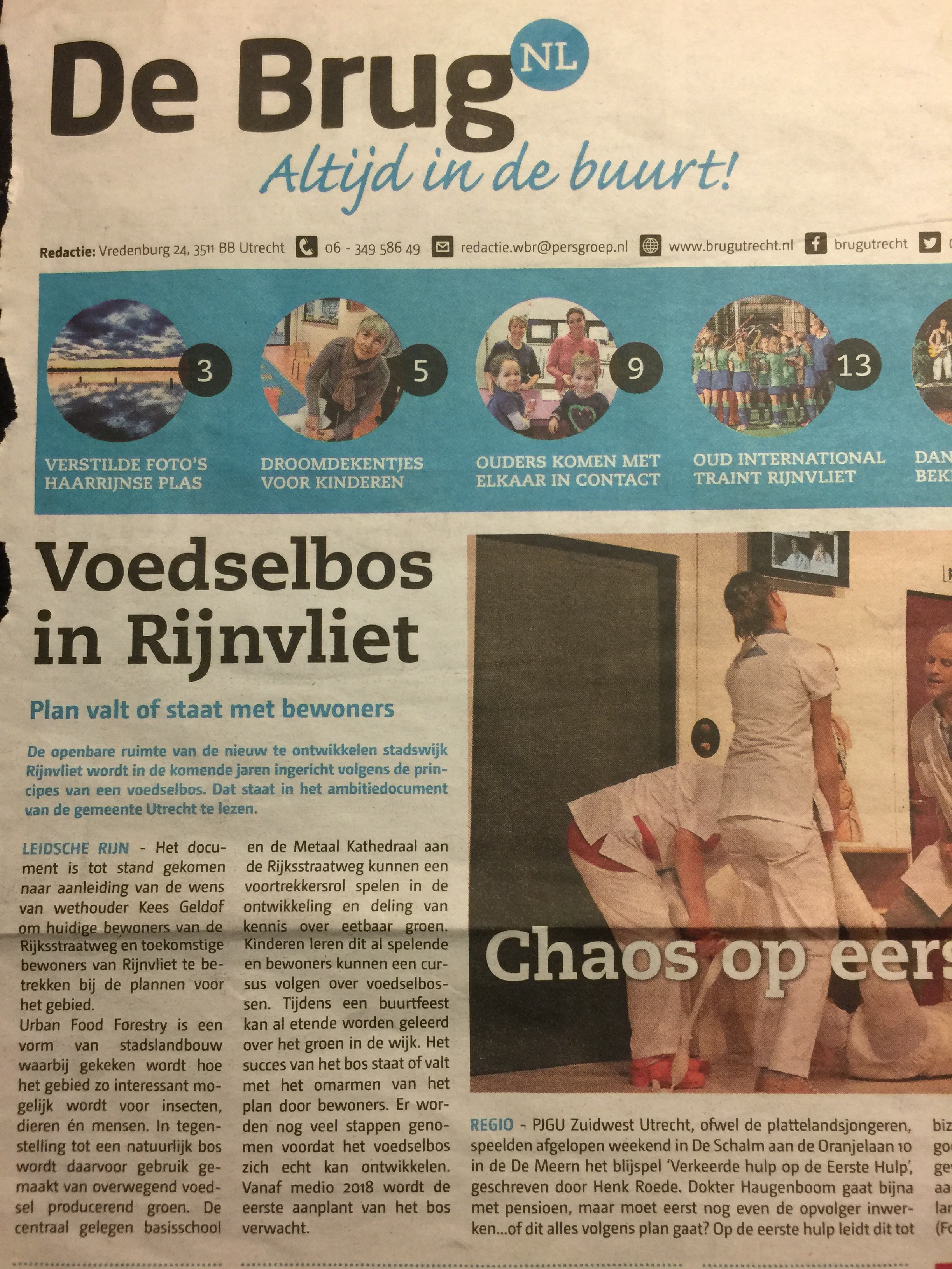 artikel 8 februari