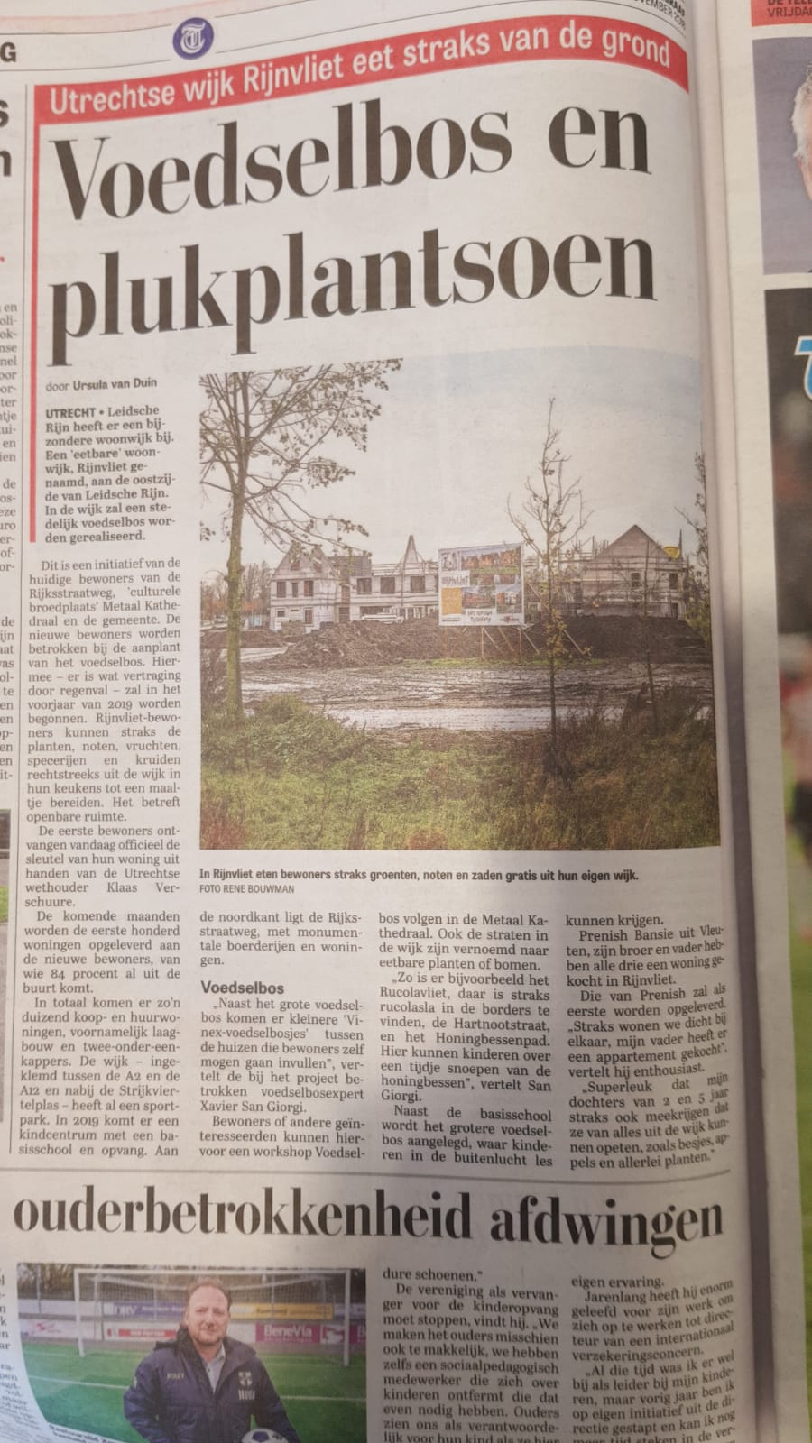artikel telegraaf