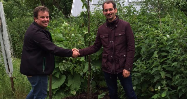 Eerste perenboom is geplant!