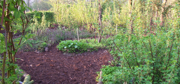 Groen licht voor ‘eetbare’ nieuwbouwwijk